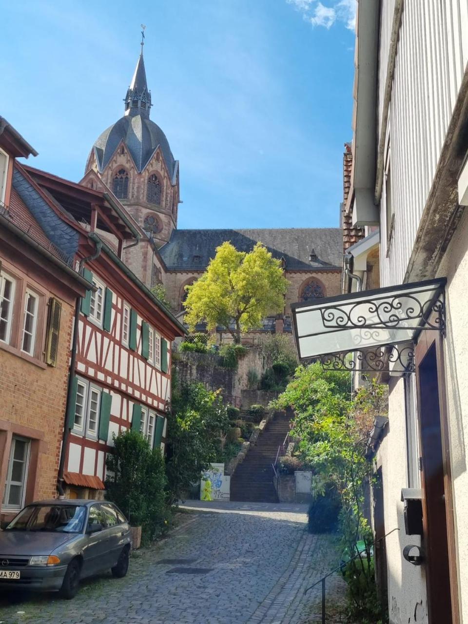 Ferienwohnung Heppenheim An Der Bergstrasse Whg 1 Exteriér fotografie